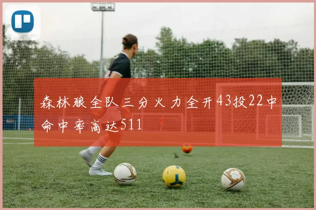 森林狼全队三分火力全开43投22中命中率高达511