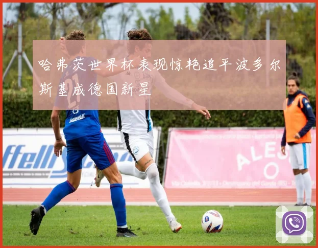 哈弗茨世界杯表现惊艳追平波多尔斯基成德国新星